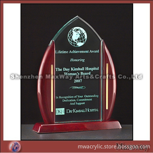 Acrylic Award with Wooden Edge
